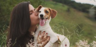 7 Adorable Dog Breeds In Honor Of International Dog Day dog day