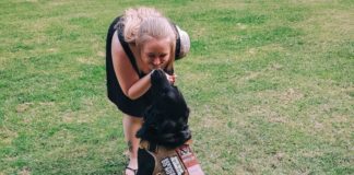 service-dog