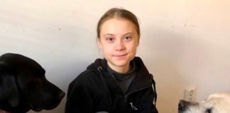 3 Amazing Times Greta Thunberg Clapped Back At Her Haters