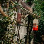 cathal-mac-an-bheatha-DaTcckblpXo-unsplash