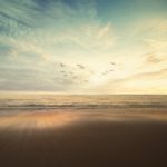 frank-mckenna-CSeCKeW4TM0-unsplash
