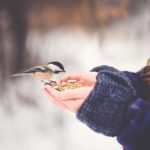 paige-cody-T_tAojyynCk-unsplash