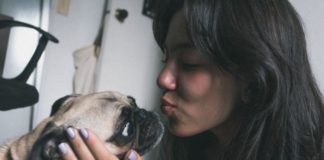5 Things To Consider Before Adopting a Pet During COVID-19