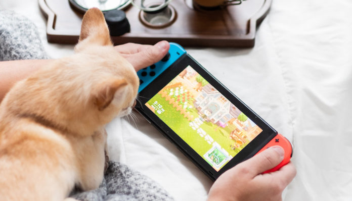 person-holding-nintendo-switch-4075410