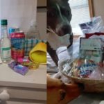 wine-bag