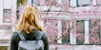 grad-school-rejection