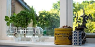 5 Awesome Companies On Kickstarter You Should Support Right Now Kickstarter items