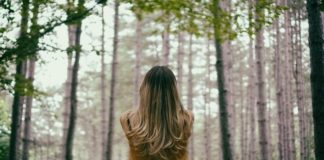 Maybe Your Journey Is About Following Your Own Heart heart