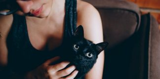 5 Purr-fect Ways To Celebrate National Black Cat Day