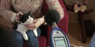 10 Of The Strangest Guinness World Records