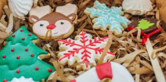 9 Delicious Christmas Cookie Recipes You Must Try