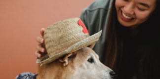 6 Tips To Help You Celebrate National Dress Your Pet Day In Style woman-dress-your-pet
