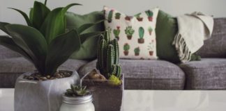 6 Millennial Home Decor Trends You’ll Want To Adopt
