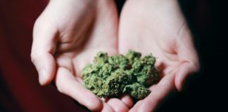 4 Perks That Come With Having A Medical Marijuana Card
