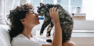 5 Purrfect Reasons You Should Adopt A Kitten