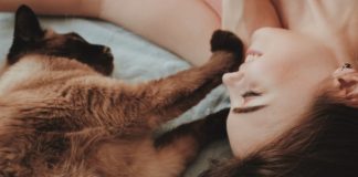 Why Losing A Pet Will Never Not Be Heartbreaking pet