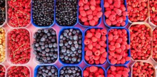 5 Healthy Berries You Should Incorporate Into Your Diet Right Now