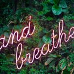 max-van-den-oetelaar-buymYm3RQ3U-unsplash