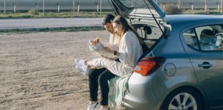 5 Wildlife Sightings You Should Add To Your Next Road Trip Roadtrip lunch