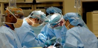 Science Is Cool: A Man Just Received A Transplant Made From Pig Tissue pig