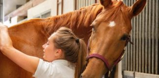 8 Life Lessons Every Horse Girl Has Learned horse-girl