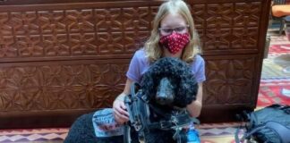 girl-service-dog