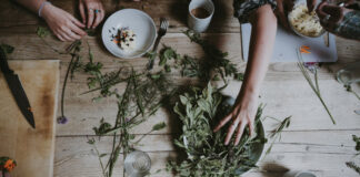 A Beginner’s Guide To Ethnobotanicals