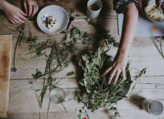 A Beginner’s Guide To Ethnobotanicals