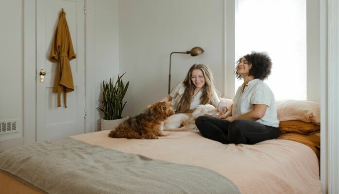 chewy resized roommates
