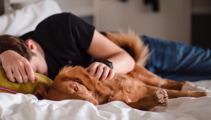 jamie-street-WvZ4dTE7dLI-unsplash sleep-bed-dog