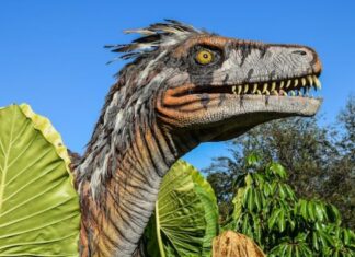 Do You Have A Boring Favorite Dinosaur? Here Are Some More Interesting Ones