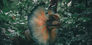 These 5 Ancient Animals are NOT Dinosaurs
