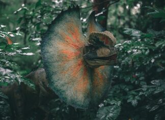 These 5 Ancient Animals are NOT Dinosaurs