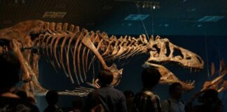 What To Know About The Feuding Scientists Who RUINED Paleontology dinosaur