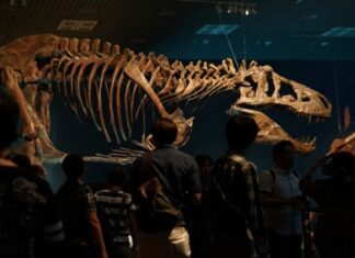 What To Know About The Feuding Scientists Who RUINED Paleontology dinosaur