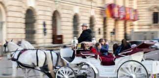 4 Must-See Places In Austria To Add To Your Travel Bucket List Tourists-in-Austria