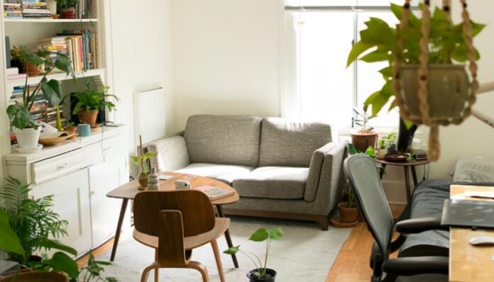 healthier apartment