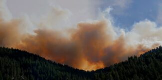 What The Government & Companies Should Do About The Canadian Wildfires