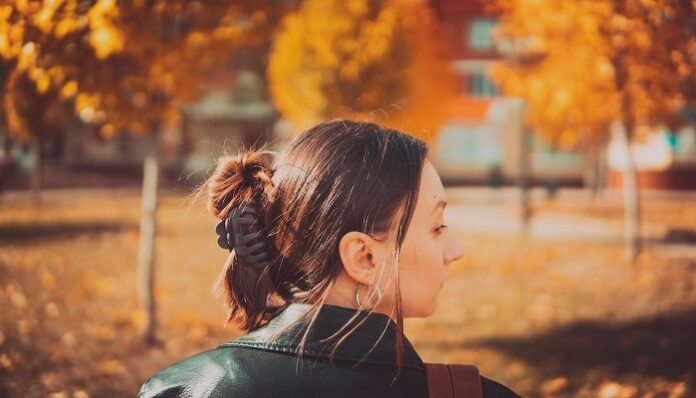 hair clip