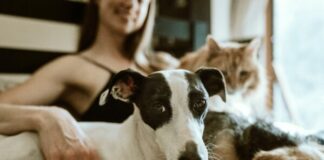 14 Life & Love Lessons We Can Learn From Animals life-lessons