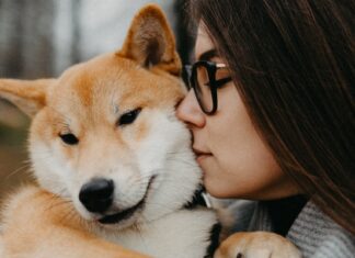 Woman Remember Your Pets