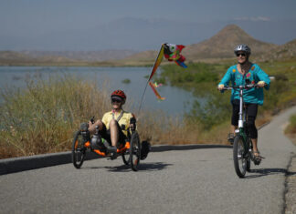 Recumbent E-Tricycles