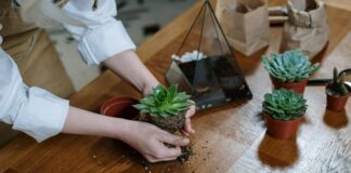 Wabi-Sabi: The Subtle Beauty Of Imperfection