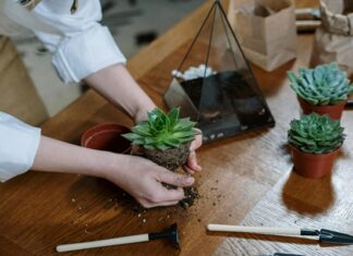 Wabi-Sabi: The Subtle Beauty Of Imperfection