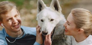 5 Things To Consider Before Adopting A Dog with Your Significant Other