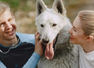 5 Things To Consider Before Adopting A Dog with Your Significant Other