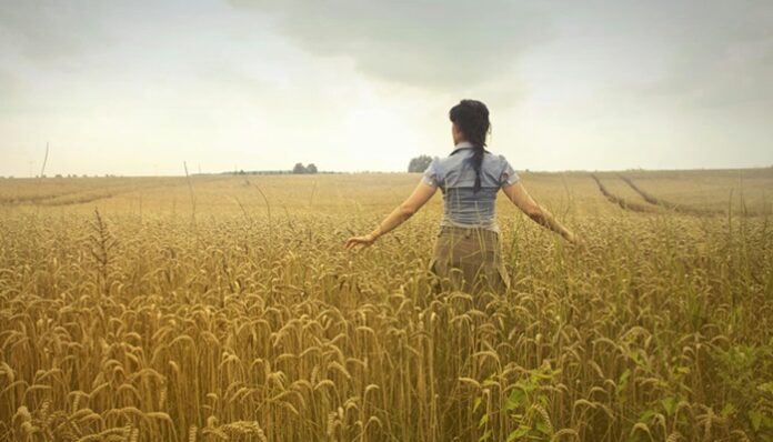 field