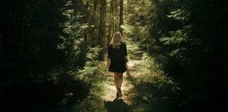 Exploring the Trend: Would You Leave Me With A Man Or A Bear?