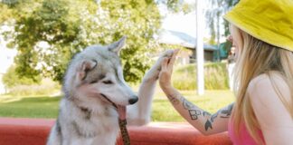 6 Ways Owning A Pet Can Transform Your Health