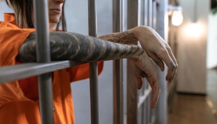pexels-rdne-6065073 criminal record